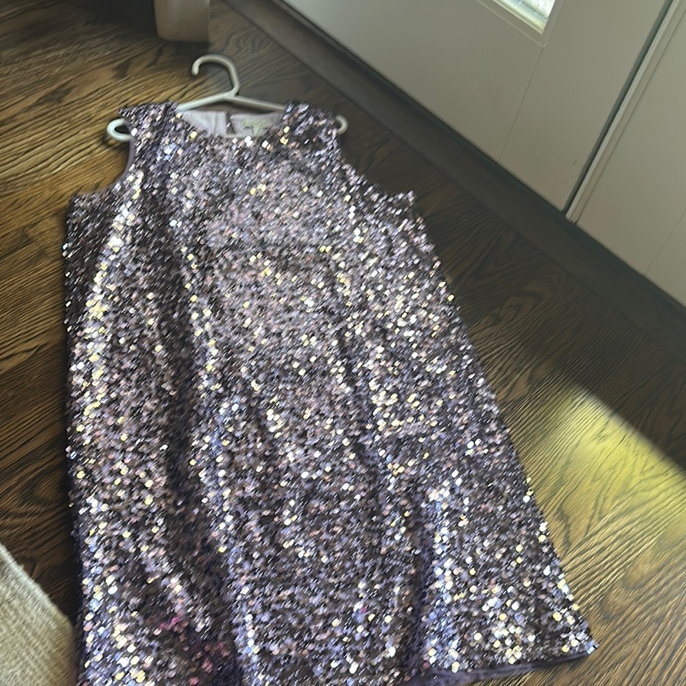 Sparkling Sequin Sleeveless Dress